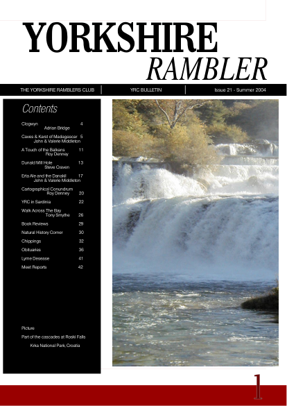 YRCJ 2004; 12(21) cover